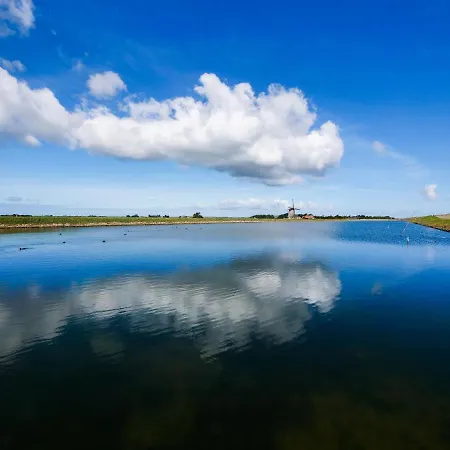 De Oude Skuur Ooi Oda ve Kahvaltı Oosterend (Texel)