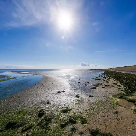 De Oude Skuur Ooi Oosterend (Texel)