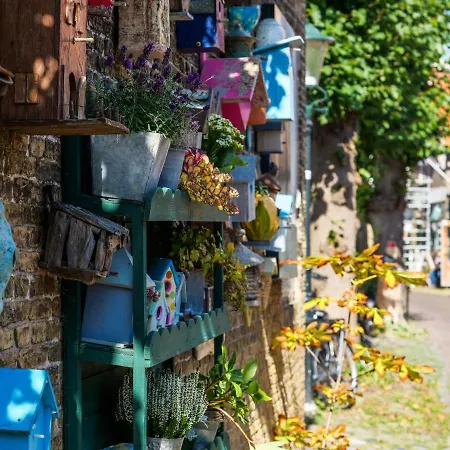 Bed and Breakfast De Oude Skuur Ooi 3*