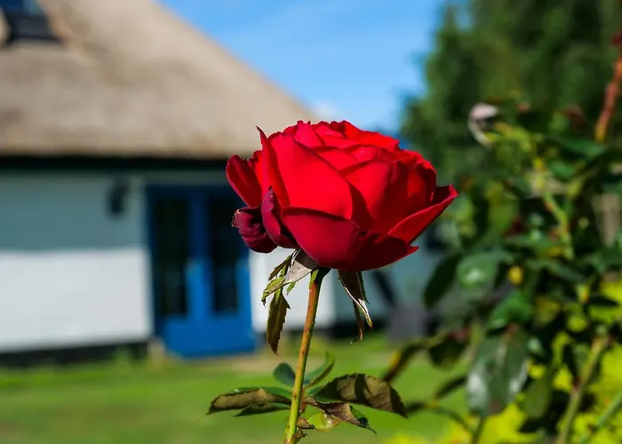 Oda ve Kahvaltı De Oude Skuur Ooi 3*