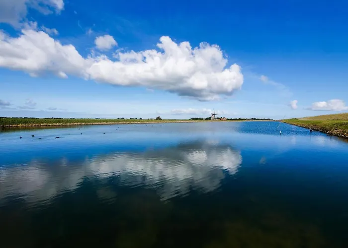 De Oude Skuur Ooi Oda ve Kahvaltı Oosterend (Texel)