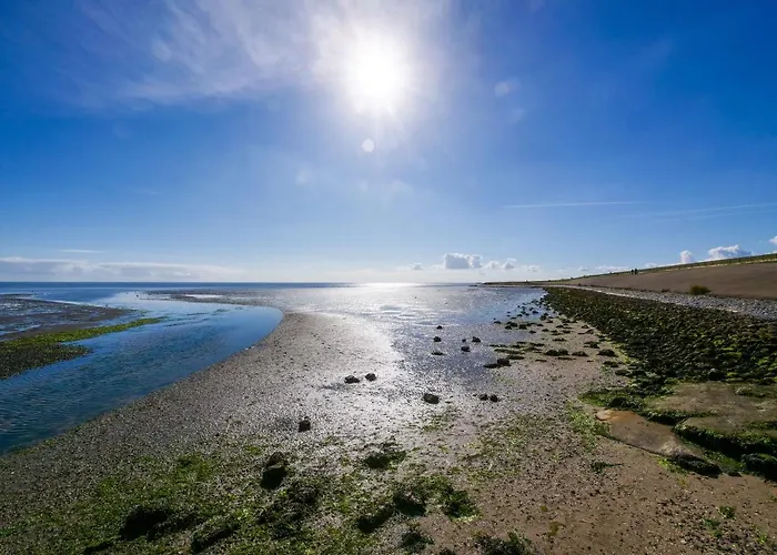 De Oude Skuur Ooi Oosterend (Texel)