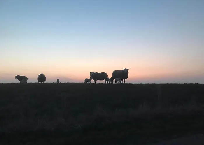 Oda ve Kahvaltı De Oude Skuur Ooi