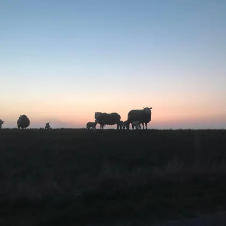 Bed & Breakfast De Oude Skuur Ooi